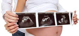 Dr Moussa Ezzahraoui