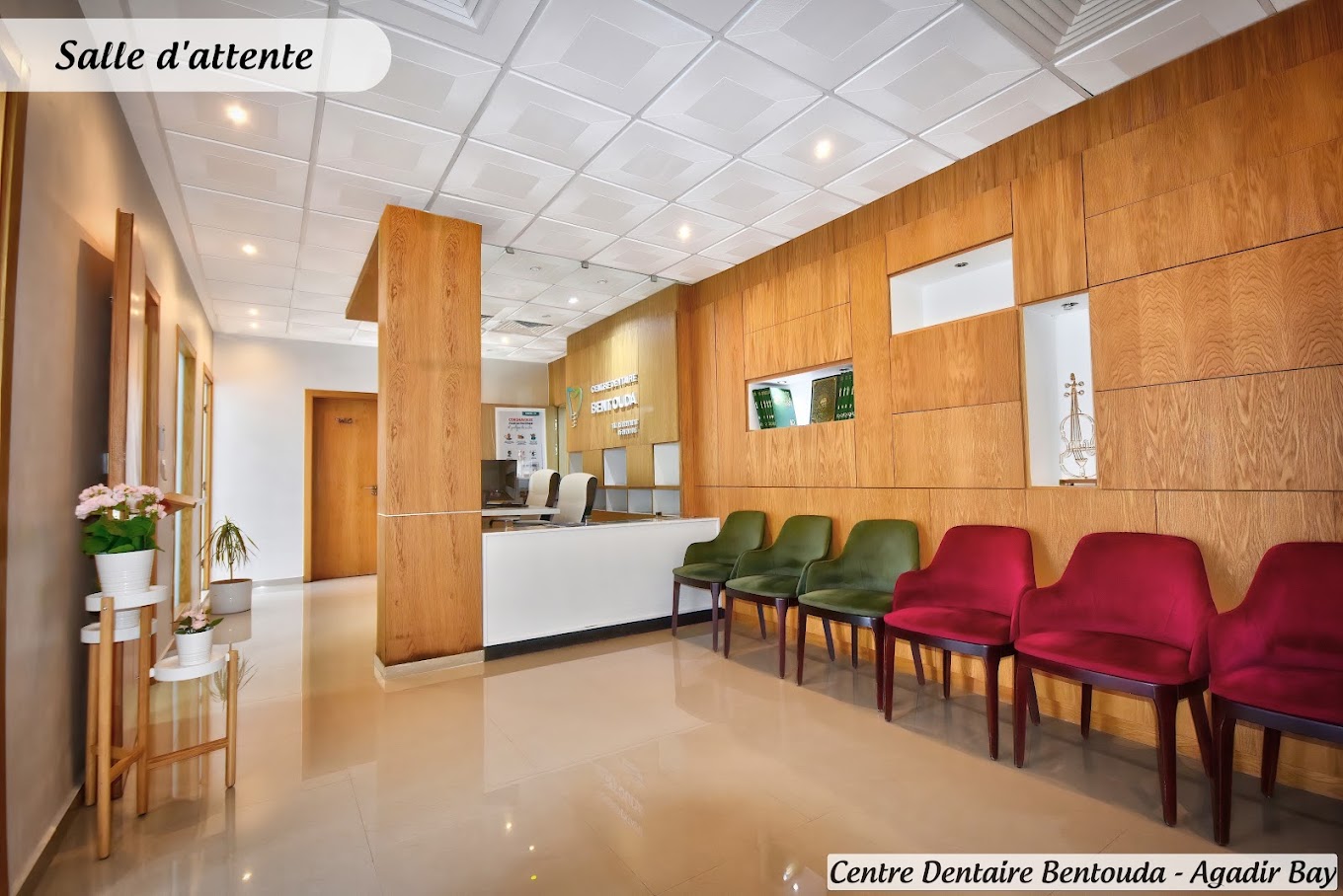 دكتورة سعاد بن تودة