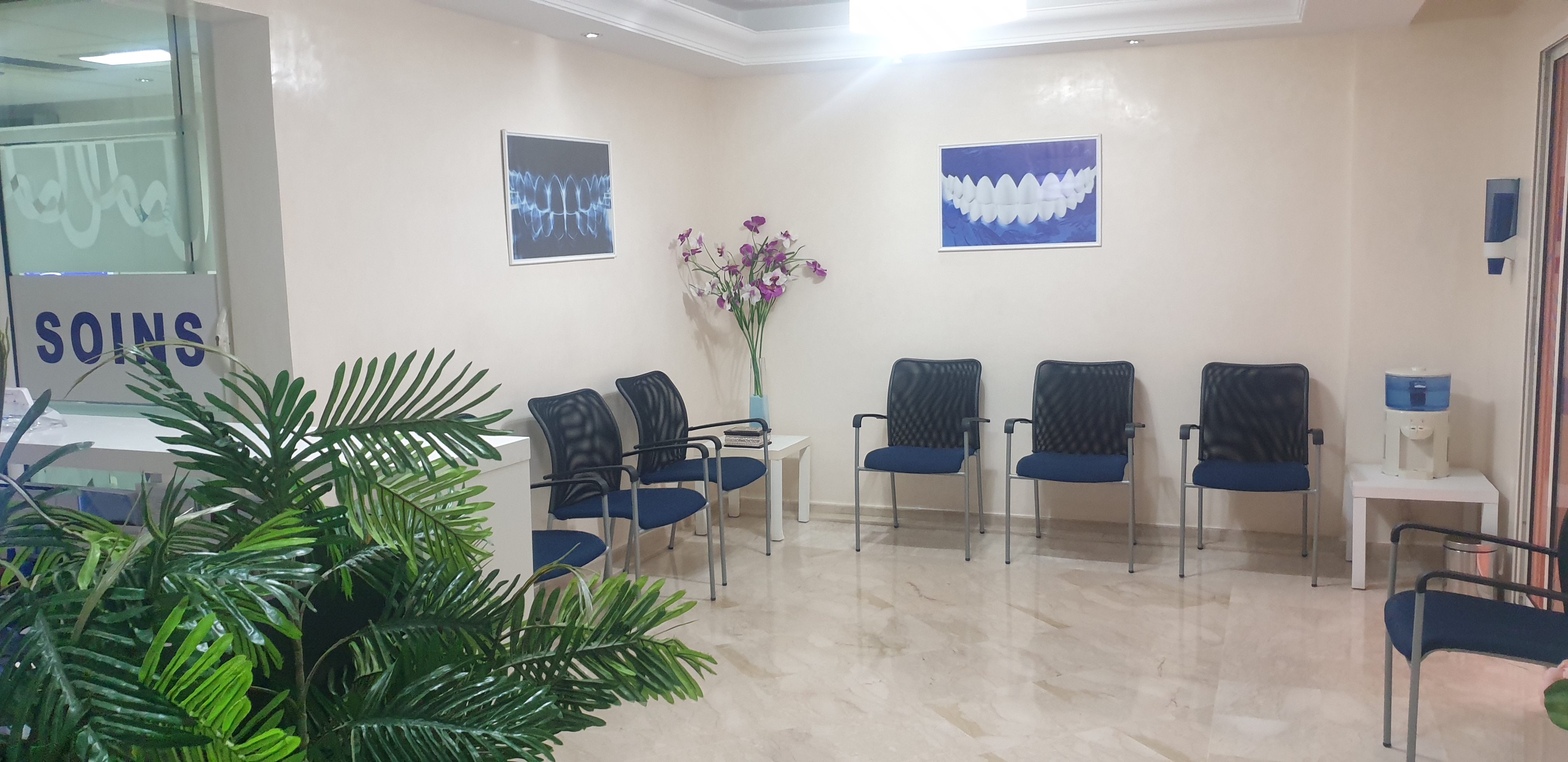 دكتور ربيع إكسرغيد