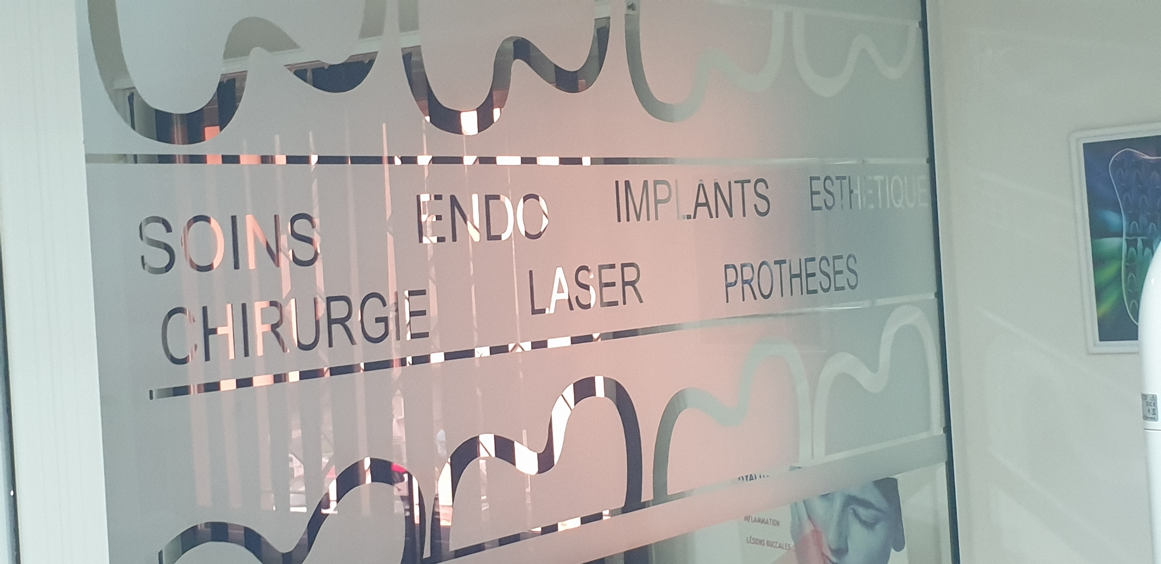 دكتور ربيع إكسرغيد