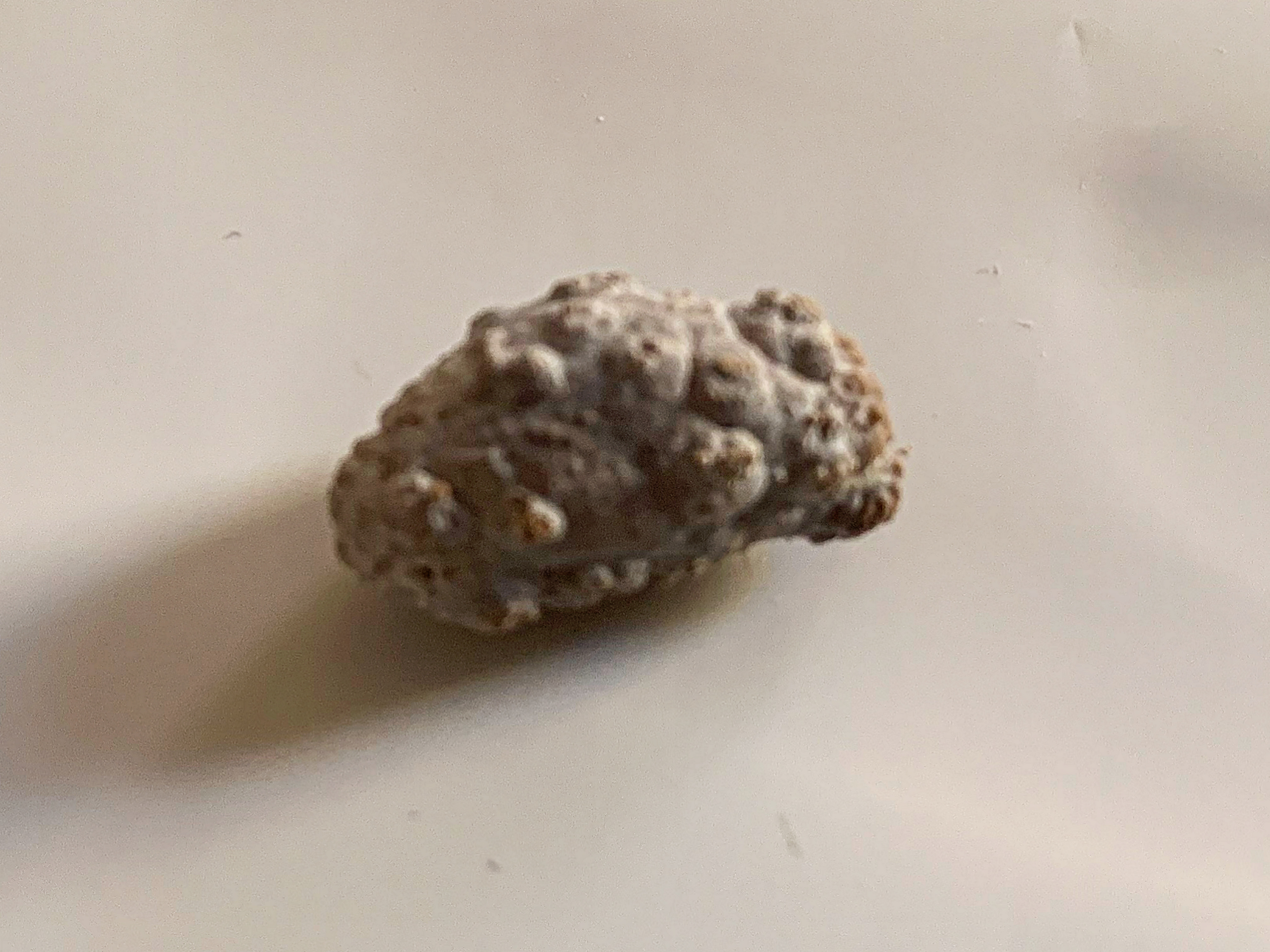 Dr Abdessamad Labyad