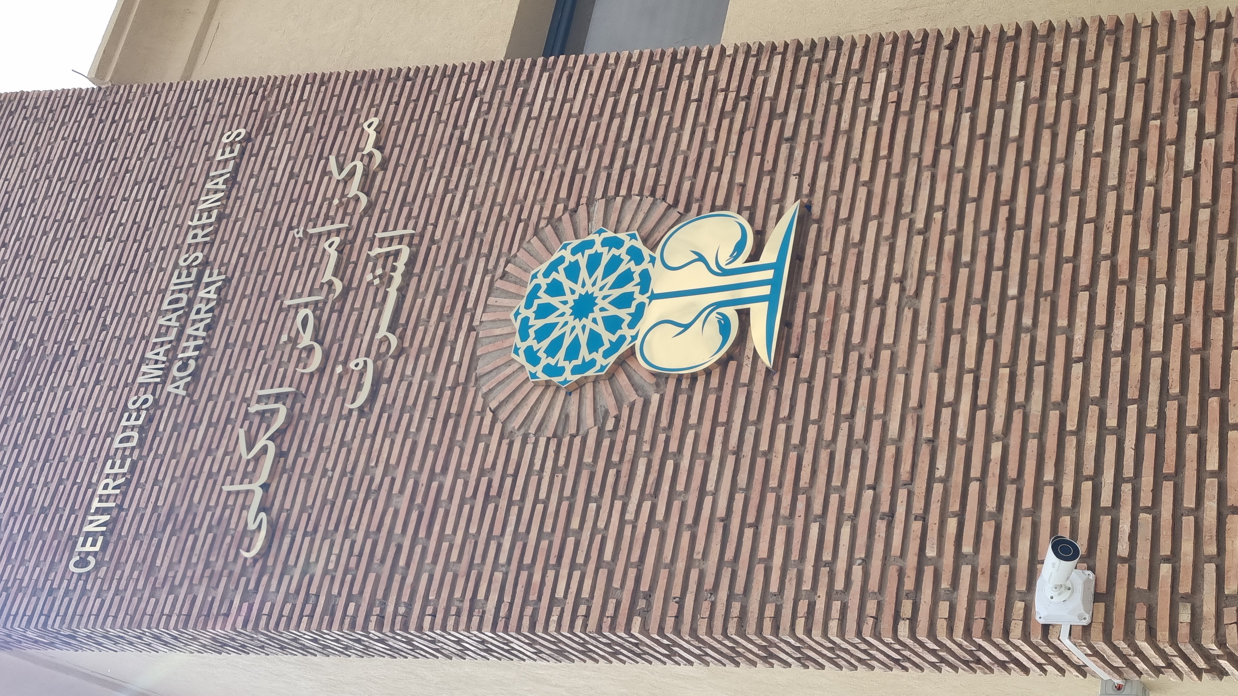 دكتورة سارة عليبو