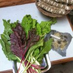 Himalayan Yogini Retreat and Organic Farm Himalayan Yogini Retreat and Organic Farm