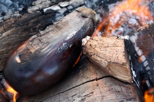 Vegan Camping Made Easy