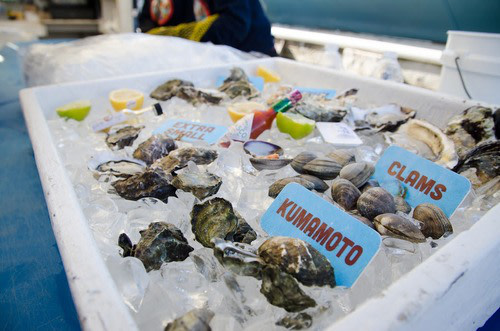 Hipcamp Team Trip: Tomales Bay Kayaking