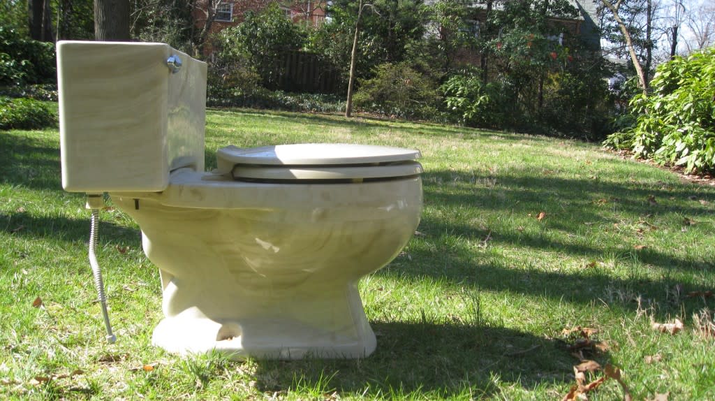 The Ultimate Guide to Pooping in the Outdoors Hipcamp Journal