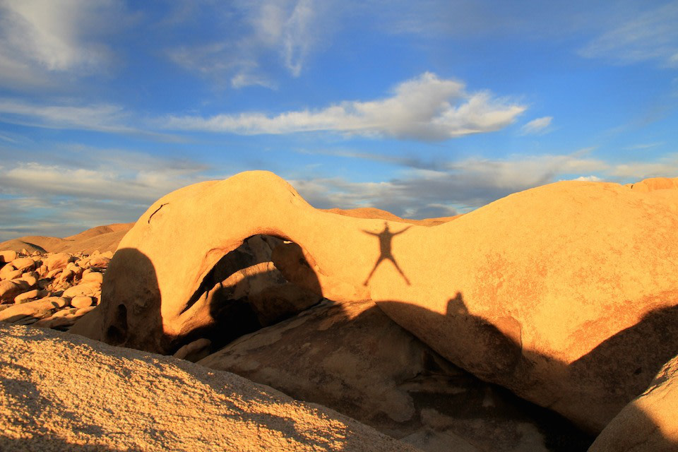 Howling At The Moon: A Joshua Tree Camping Experience