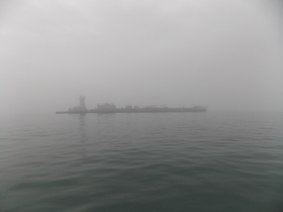 Foggy Florida: Fort DeSoto Park and Egmont Key