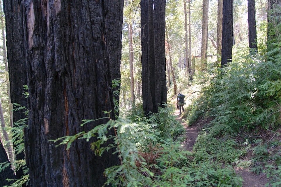 A Weekend Warrior’s Guide to Big Sur Camping