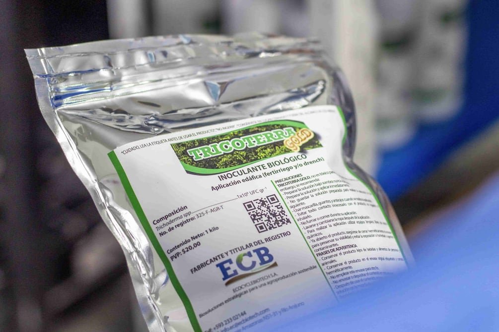 Iniap y empresa privada escalan producción de Trichoderma para proteger banano del moko