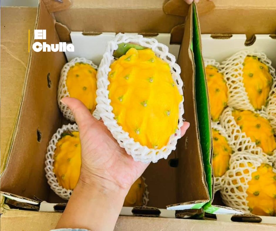 ¡Semana decisiva! Ecuador busca reabrir mercado peruano para su pitahaya