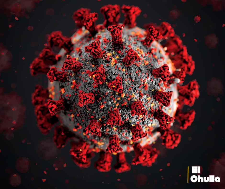 Chile identifica nueva variante del virus H3N2 y refuerza medidas de vigilancia