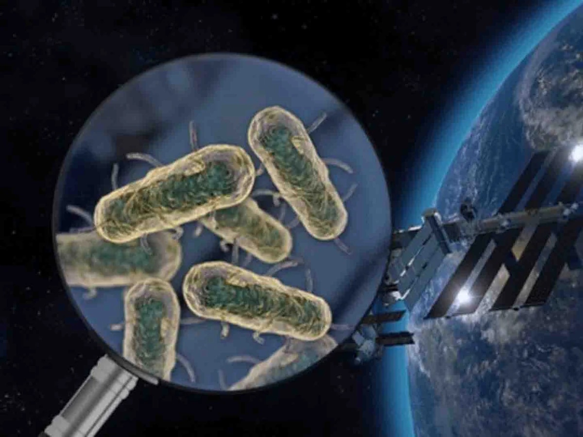 ¿Cuánto miedo deberíamos tener por la bacteria desconocida encontrada en la Estación Espacial China?