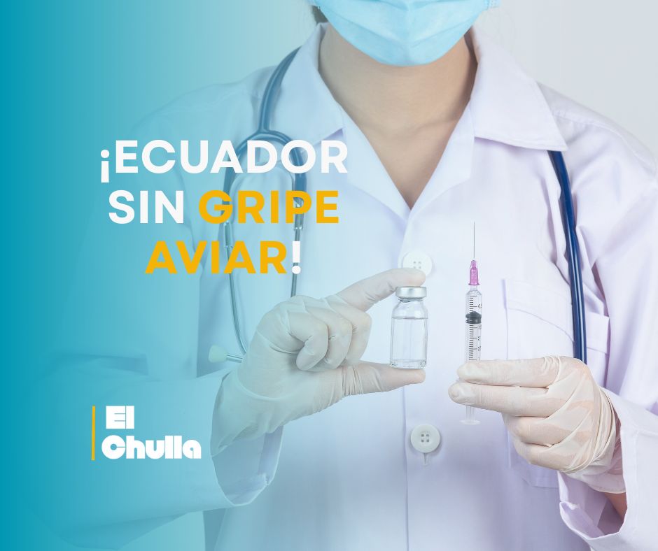 ¡Ecuador sin gripe aviar!