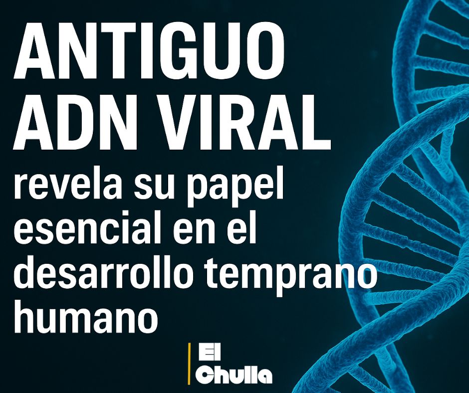 Antiguo ADN viral revela su papel esencial en el desarrollo temprano humano.
