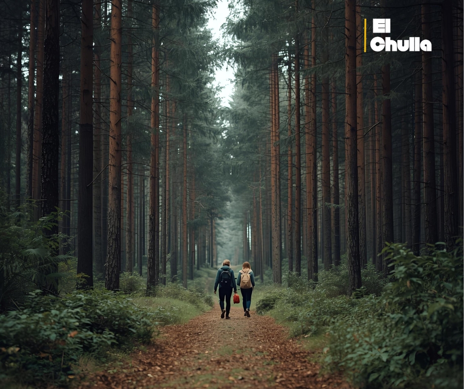 El secreto verde de Loreto: un recorrido por el bosque de Pasohurco