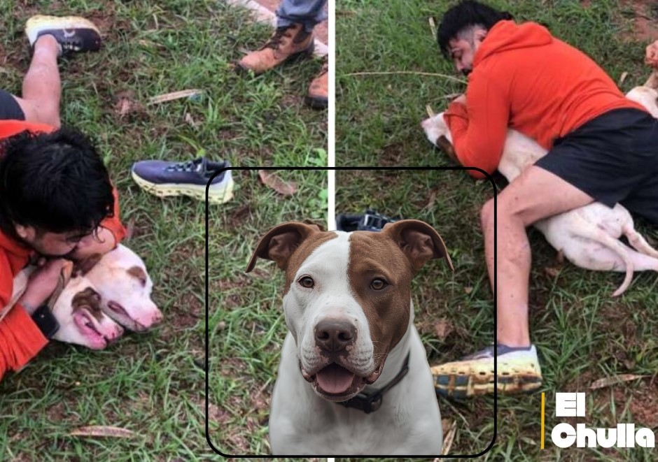Hombre hospitalizado tras ataque de dos pitbulls en su domicilio.