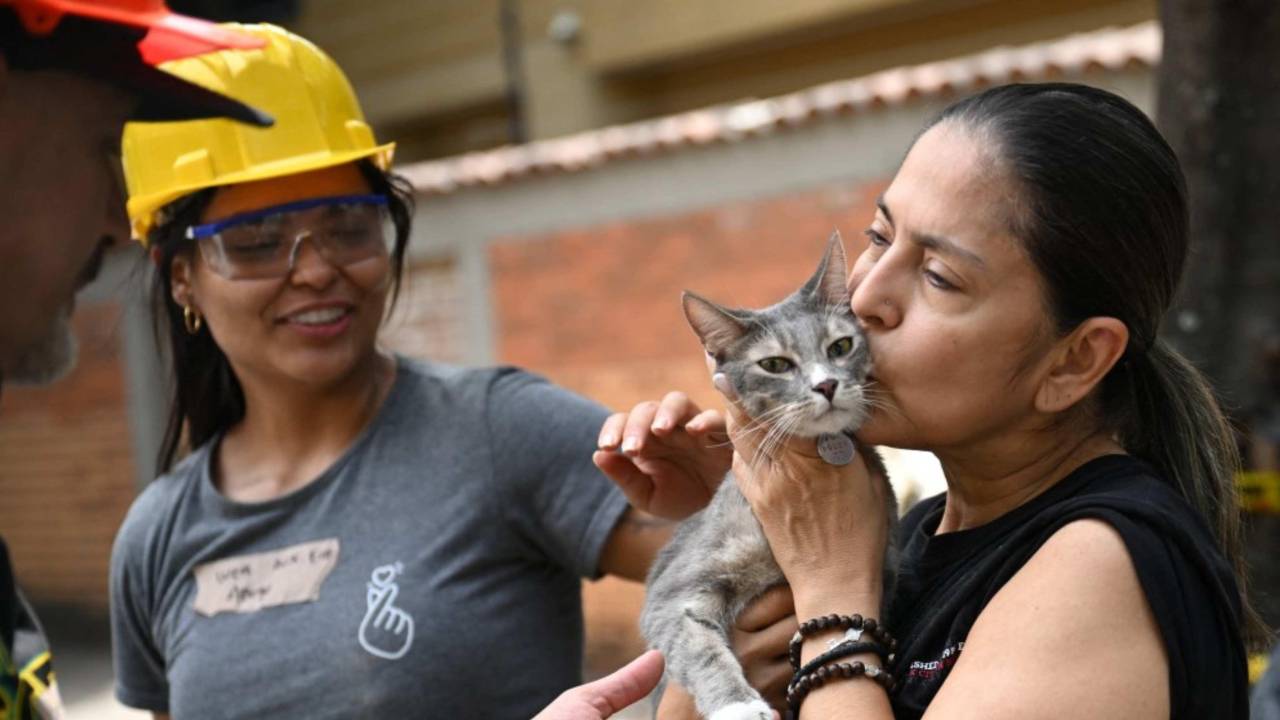 Terremotos: Lecciones de Chile y Japón para mejorar la resiliencia en Colombia