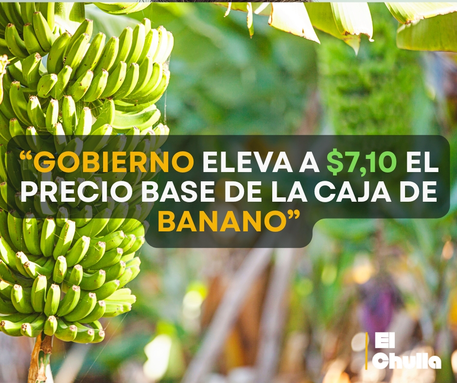 “Productores celebran alza de $0,25 en la caja de banano”