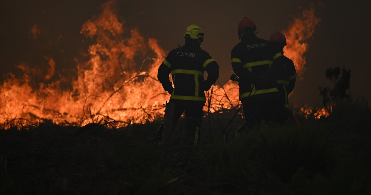 Alerta Roja en Burdeos: Incendios Devastan 42.000 Hectáreas y Obligan a Evacuar a 250.000 Personas en Francia