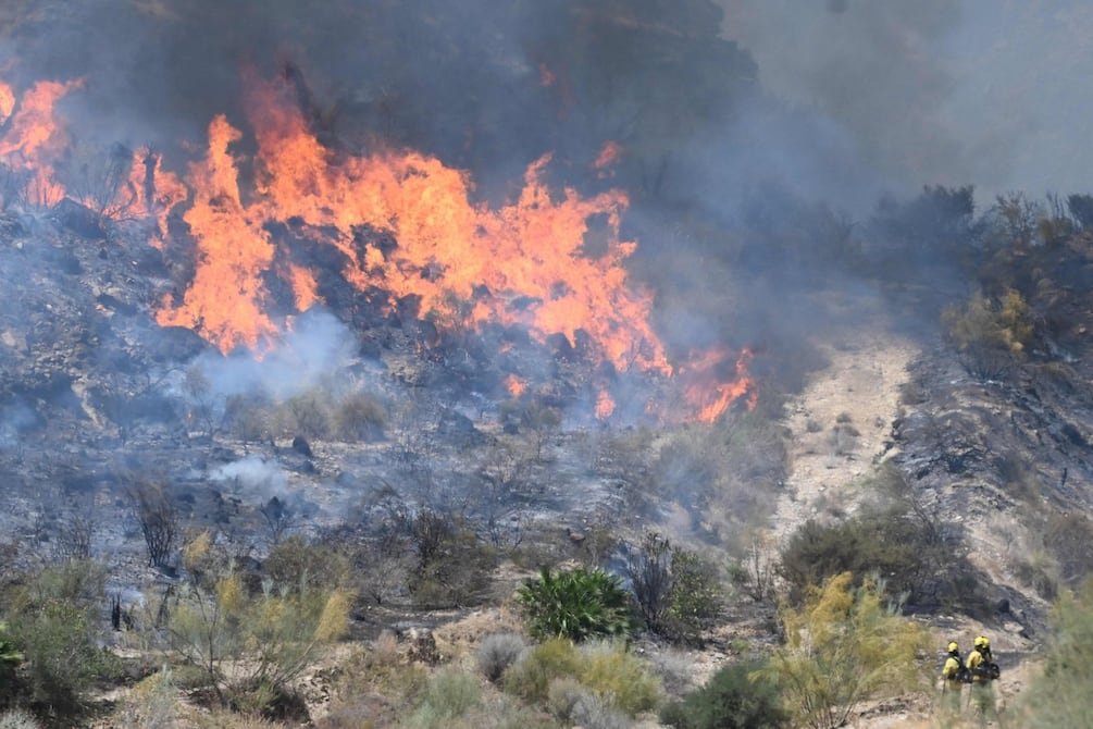 Incendio forestal en Almería, España, deja 12 muertos y 23 desaparecidos