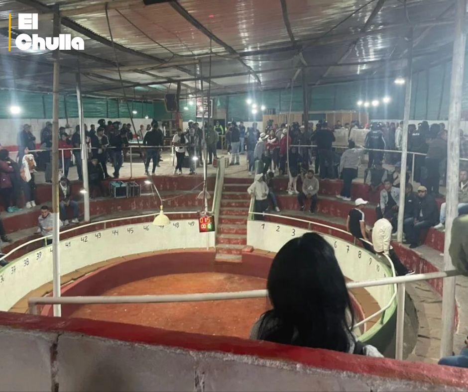 Clausuran gallera clandestina en Checa: AMC refuerza operativos contra peleas de animales en Quito.