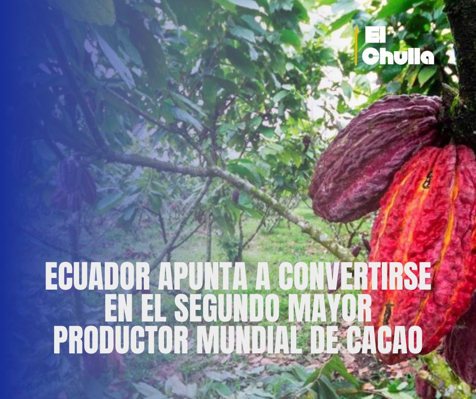 Ecuador apunta a convertirse en el segundo mayor productor mundial de cacao