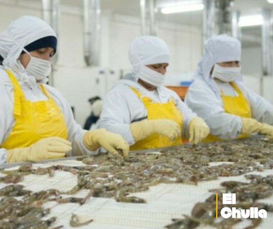 Ecuador en la cuerda floja: negocia con EE.UU. para frenar aranceles del 15% a sus exportaciones