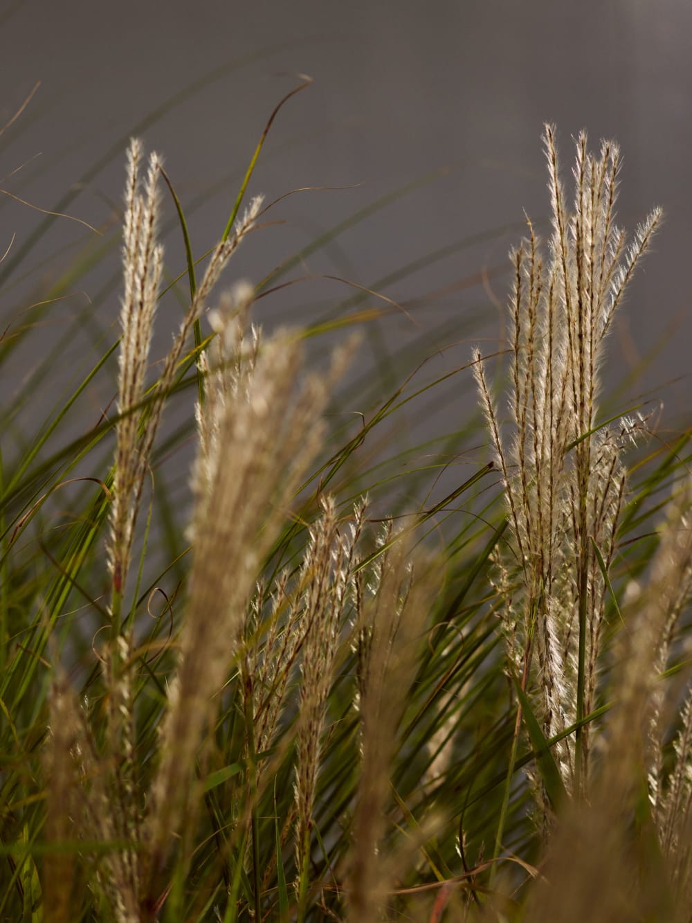 HBF Textiles/News_Events/Moments of Wander by Christiane Müller/HBFT_MomentsOfWander_2024_Set2_HR_V2