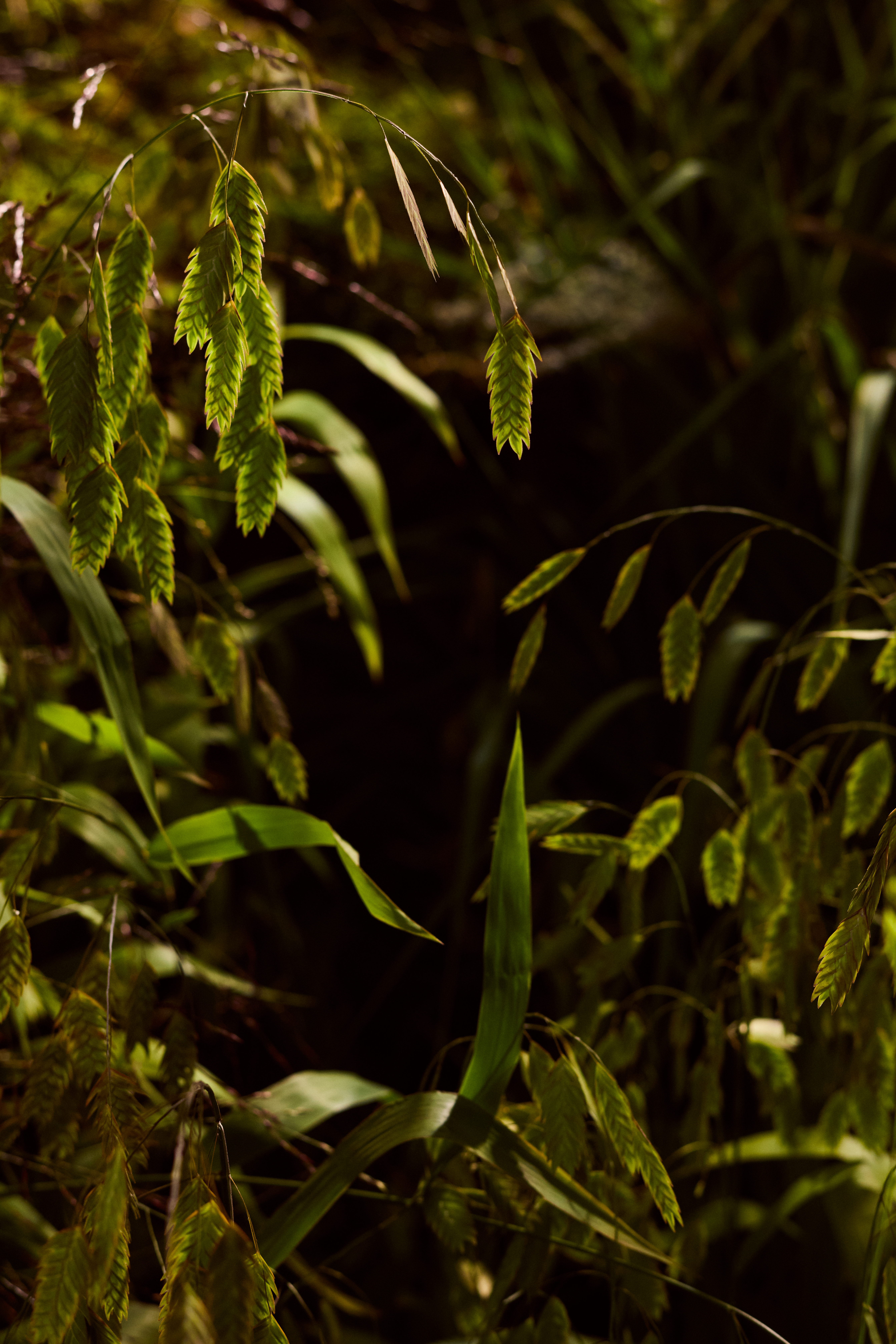 HBF Textiles/News_Events/Moments of Wander by Christiane Müller/HBFT_MomentsOfWander_2024_Set3_HR