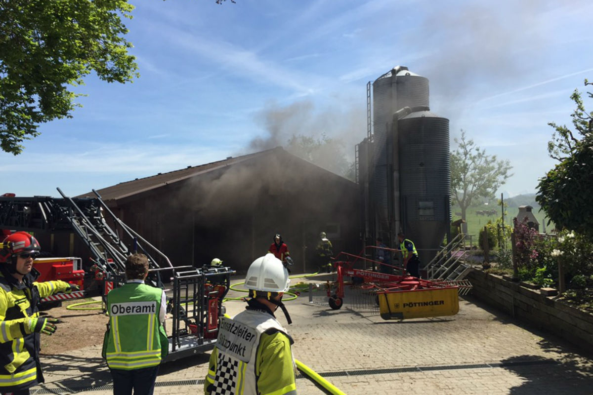 Düdingen FR - 6'000 Hühner bei Brand verendet