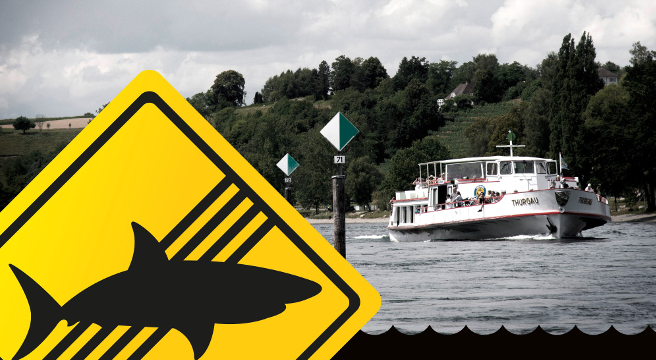 "Keine Haie in unseren Flüssen" - Sicherheit geht vor