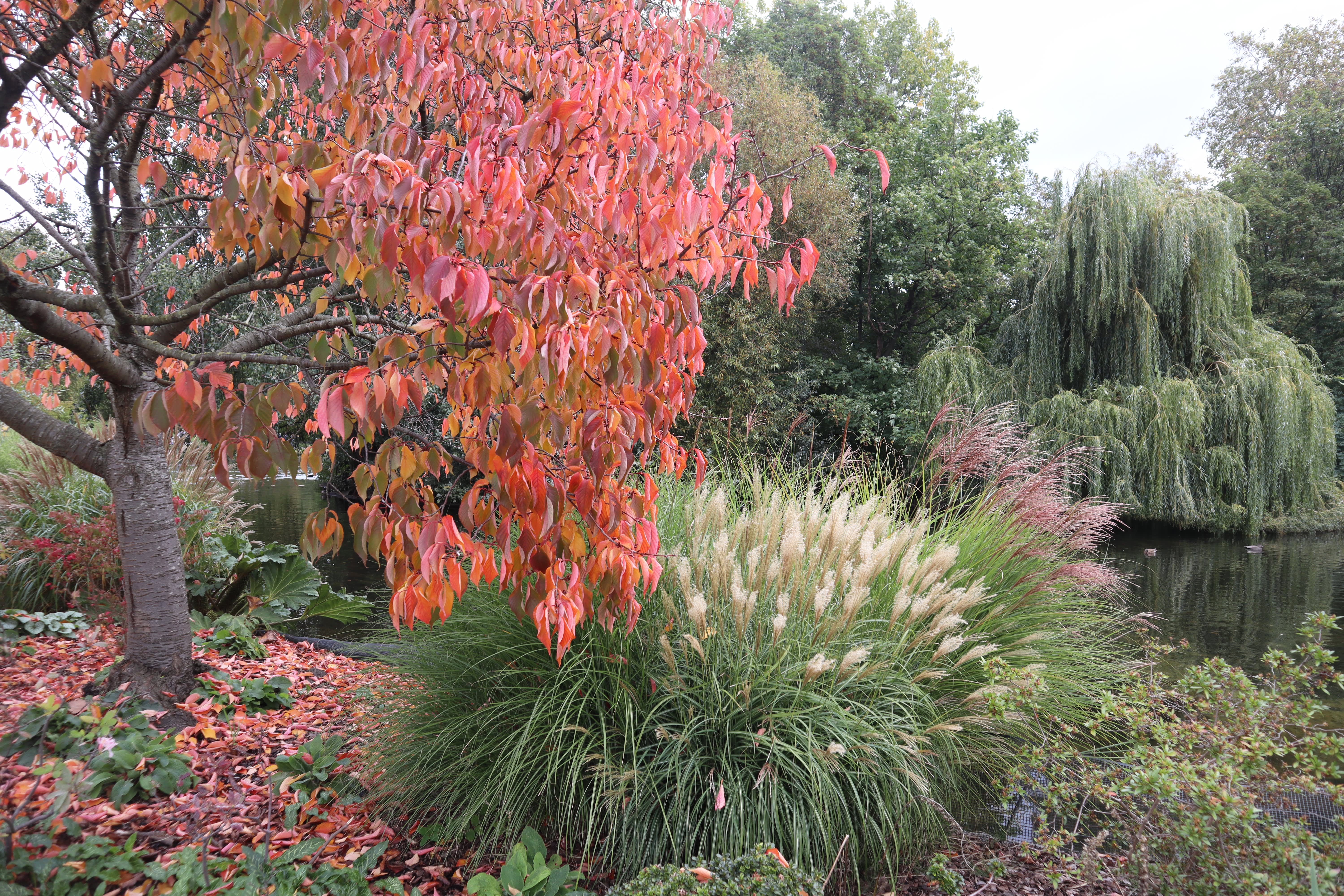 Exploring London's Royal Parks accommodation - Beautiful camping and glamping site featured in HolidayFox article