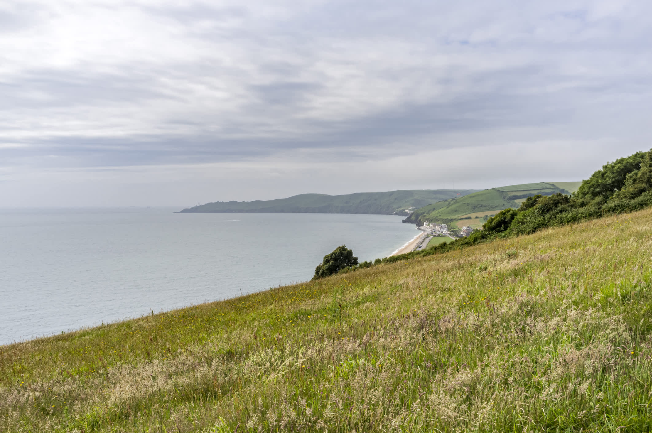 Beryl's Campsite, Devon accommodation - Beautiful camping and glamping site featured in HolidayFox article