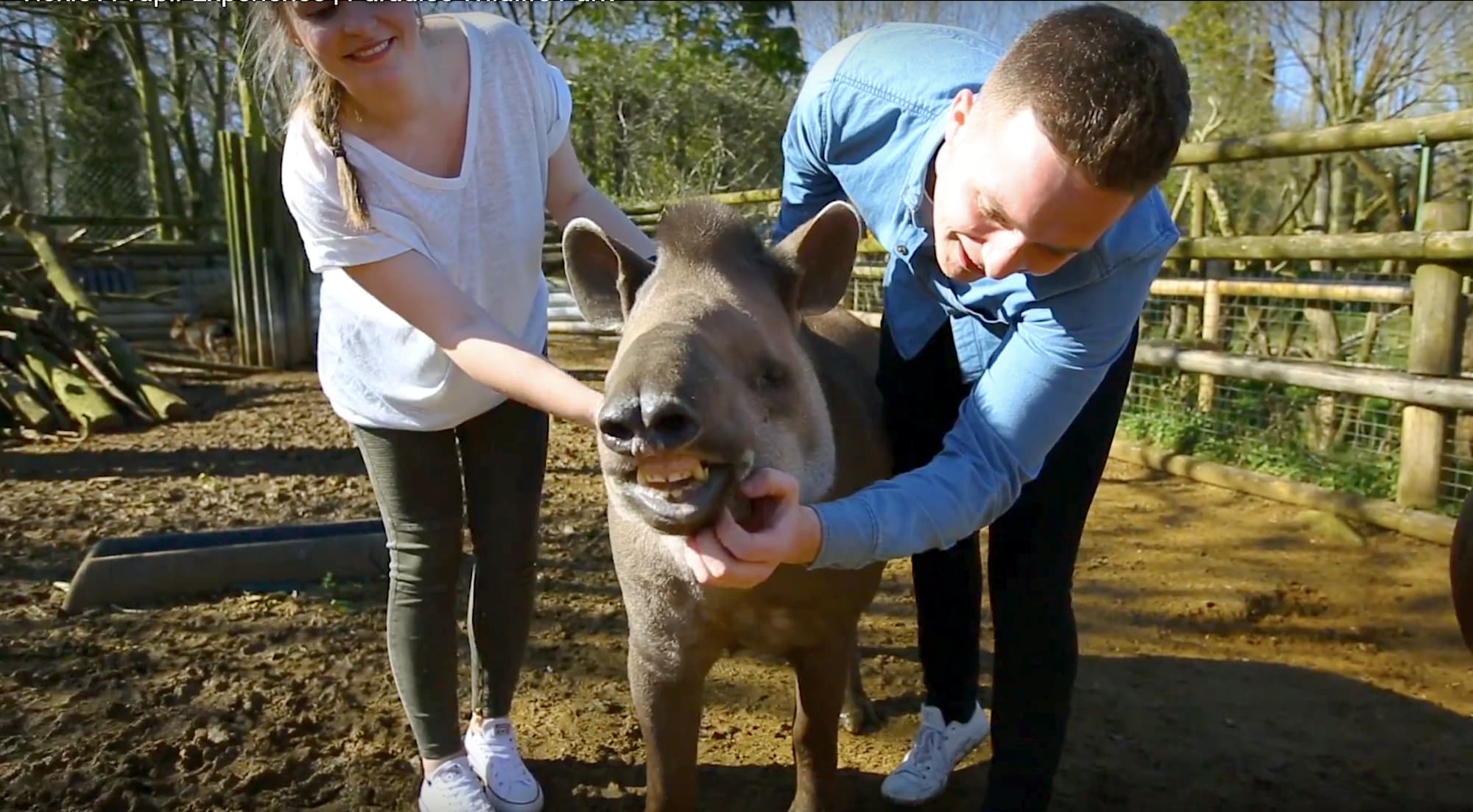 Paradise Wildlife Park, Hertfordshire accommodation - Beautiful camping and glamping site featured in HolidayFox article