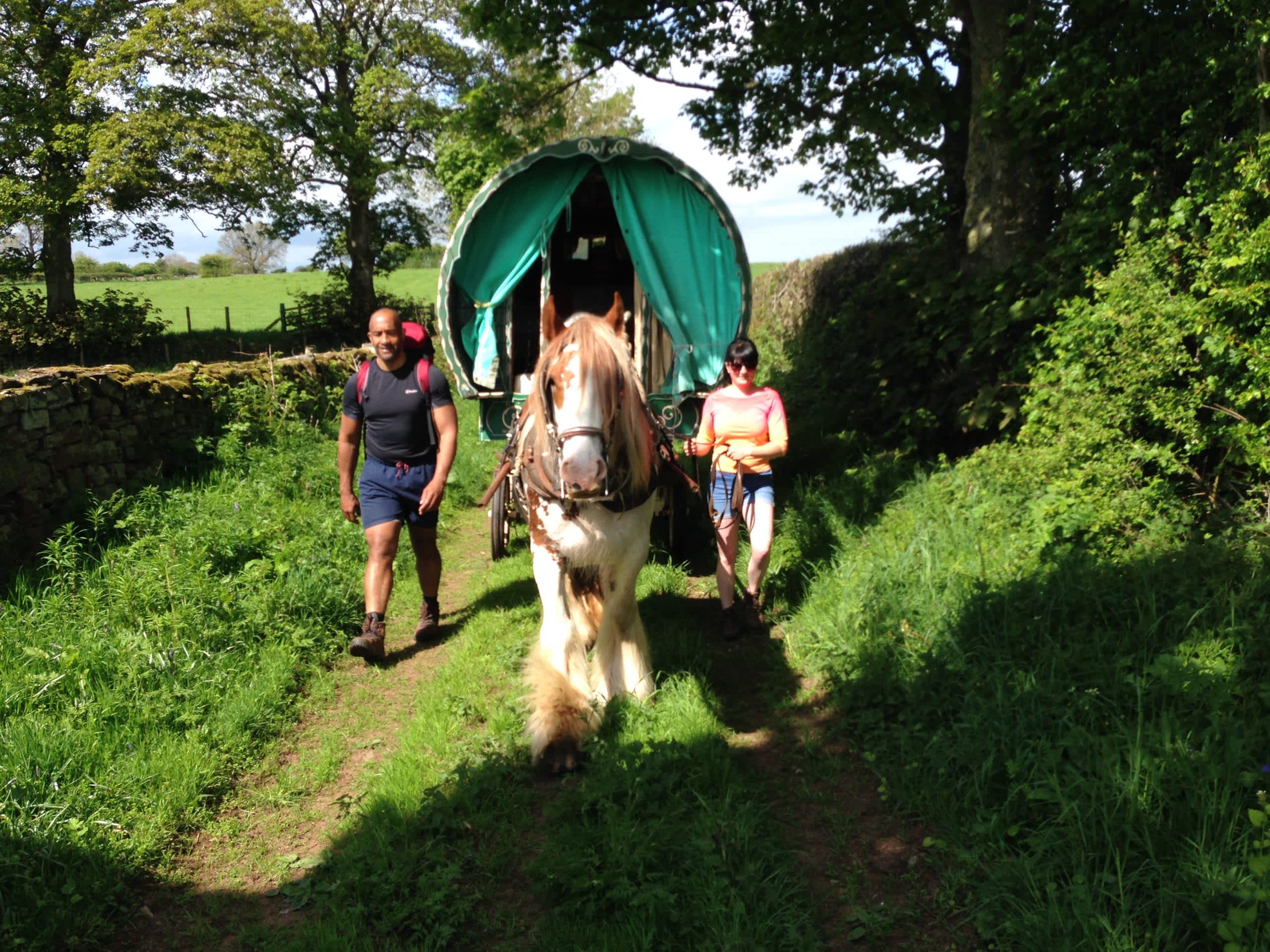 The Travelling Gypsy Caravan accommodation - Beautiful camping and glamping site featured in HolidayFox article