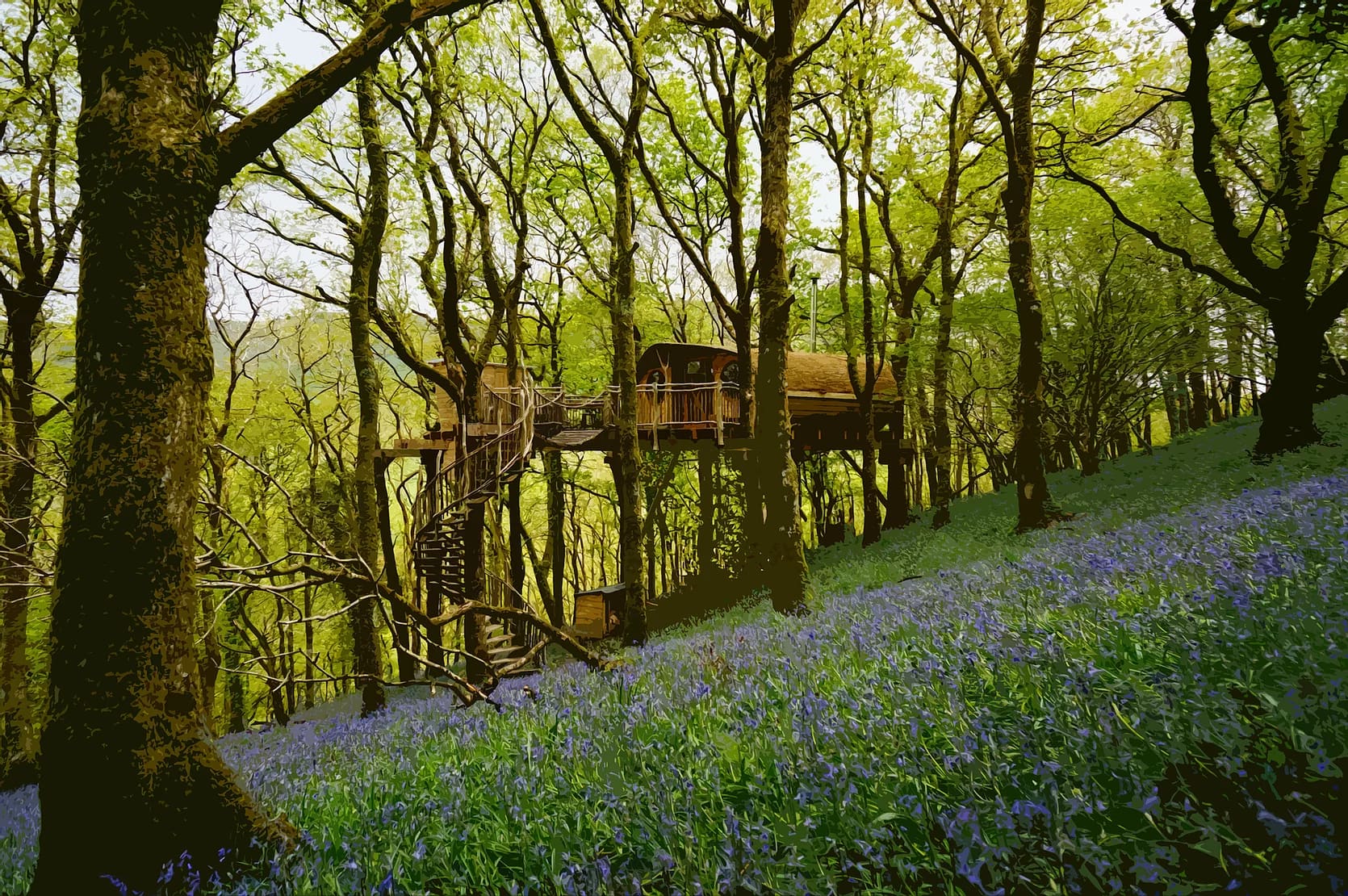 The Tree House accommodation - Beautiful camping and glamping site featured in HolidayFox article