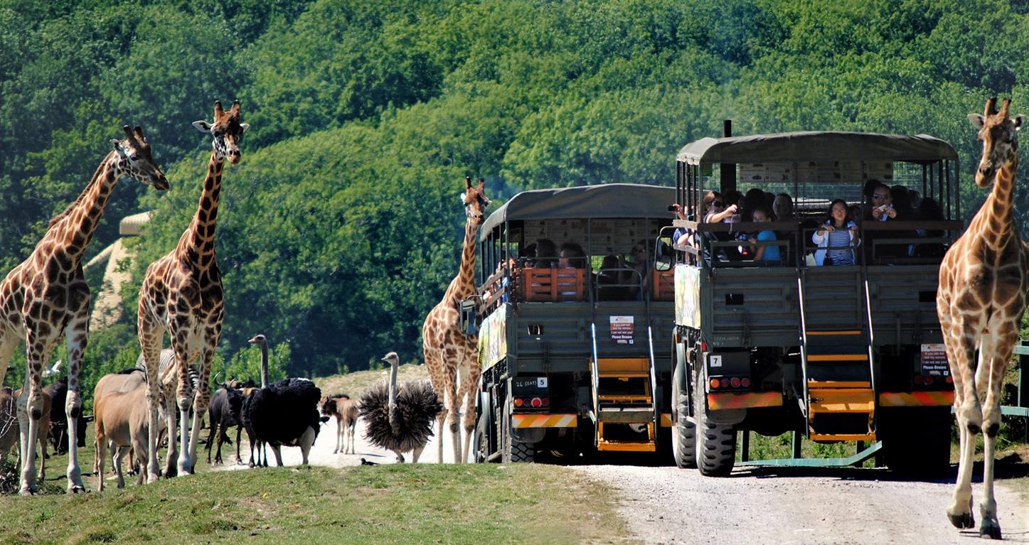 Camp on Safari accommodation - Beautiful camping and glamping site featured in HolidayFox article