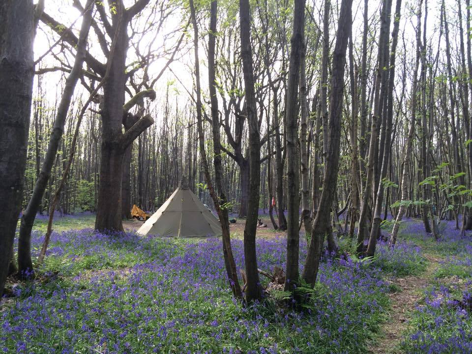 Badgellswood Camping, Kent accommodation - Beautiful camping and glamping site featured in HolidayFox article