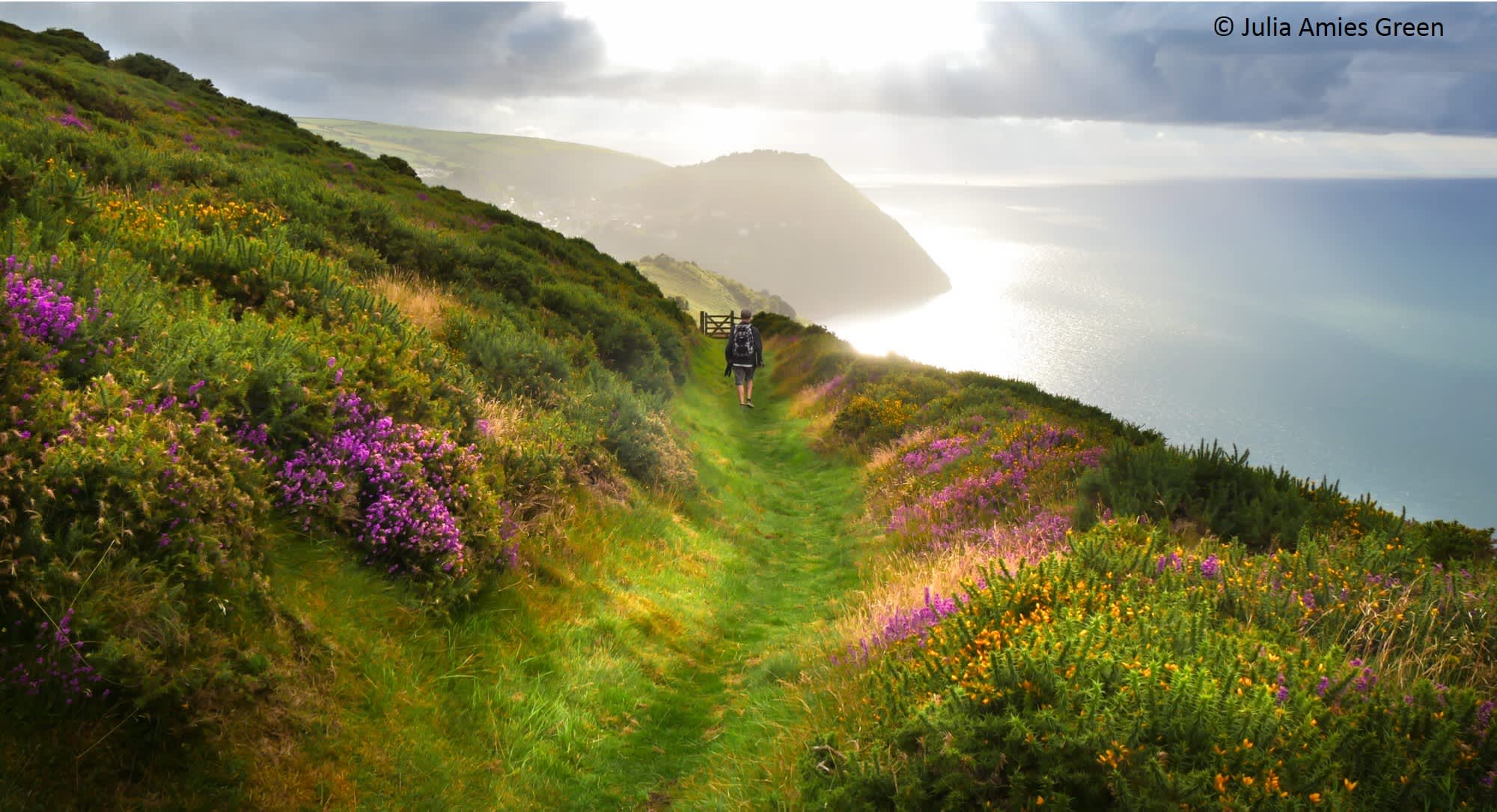 Exmoor National Park, England accommodation - Beautiful camping and glamping site featured in HolidayFox article