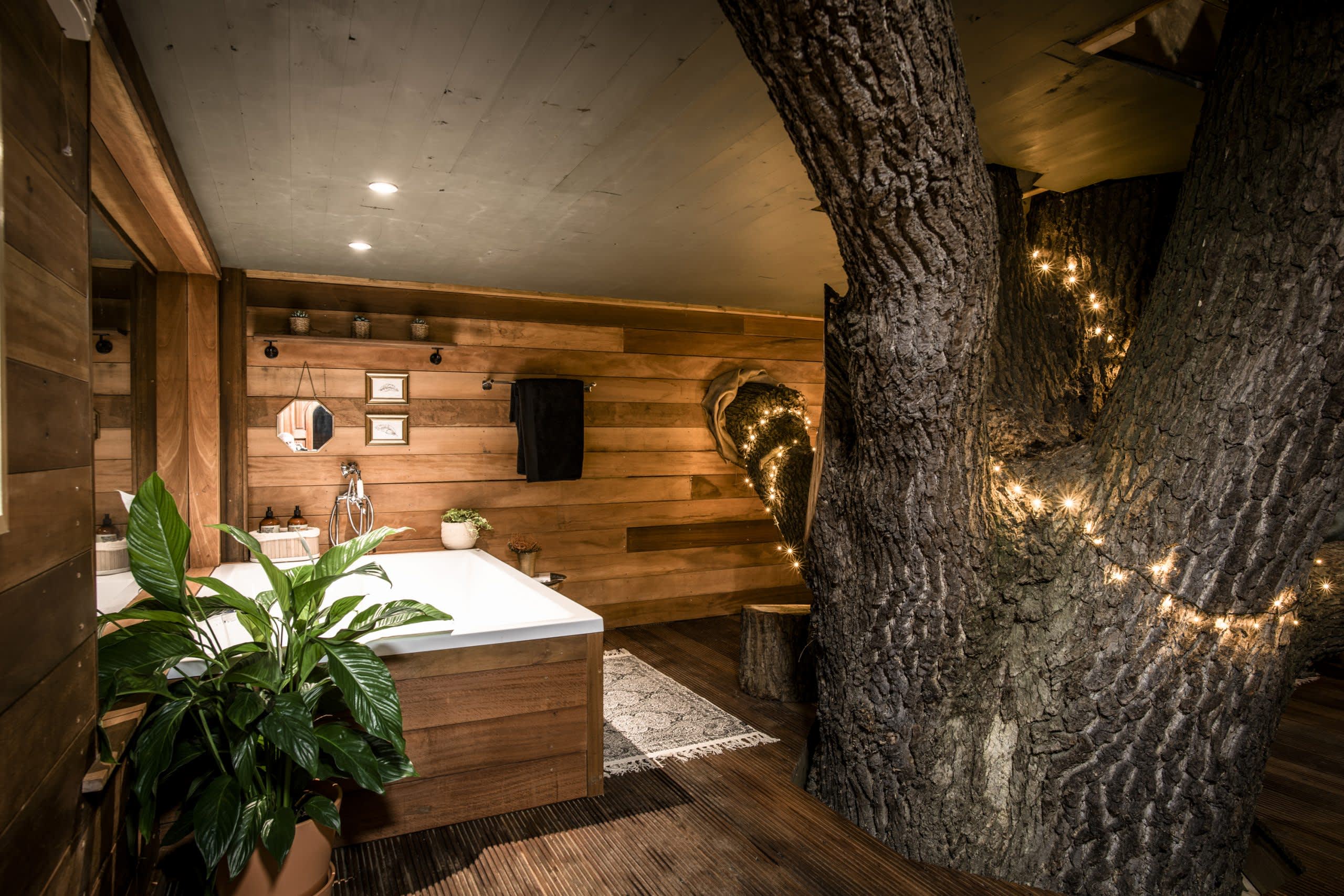 The Old Oak at Coleman's Farm, Essex accommodation - Beautiful camping and glamping site featured in HolidayFox article