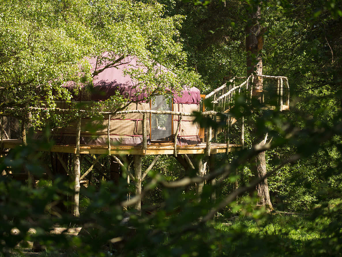 Houlet the Treehouse Yurt, Northumberland accommodation - Beautiful camping and glamping site featured in HolidayFox article