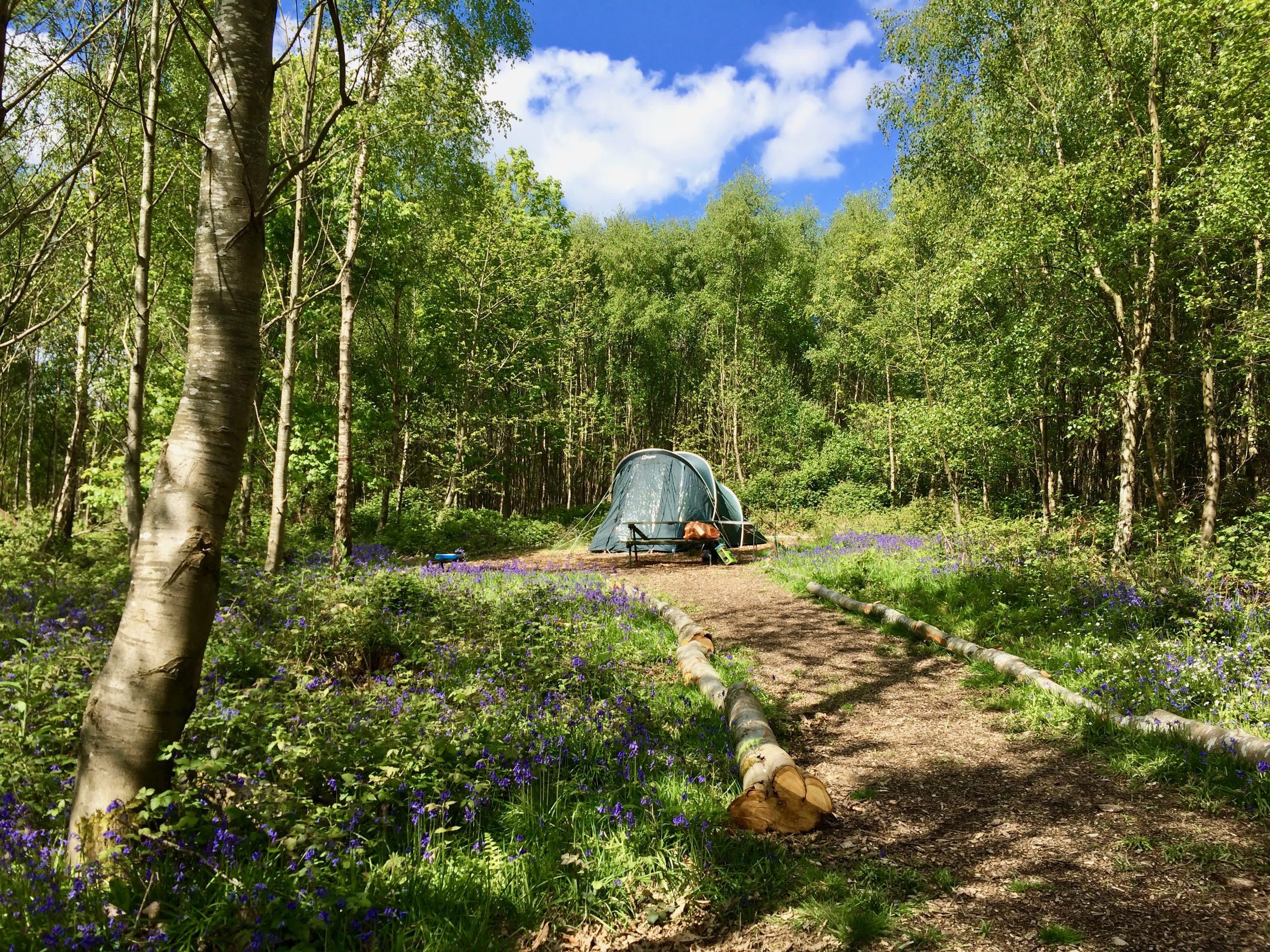4. Beech Estate Campsite accommodation - Beautiful camping and glamping site featured in HolidayFox article