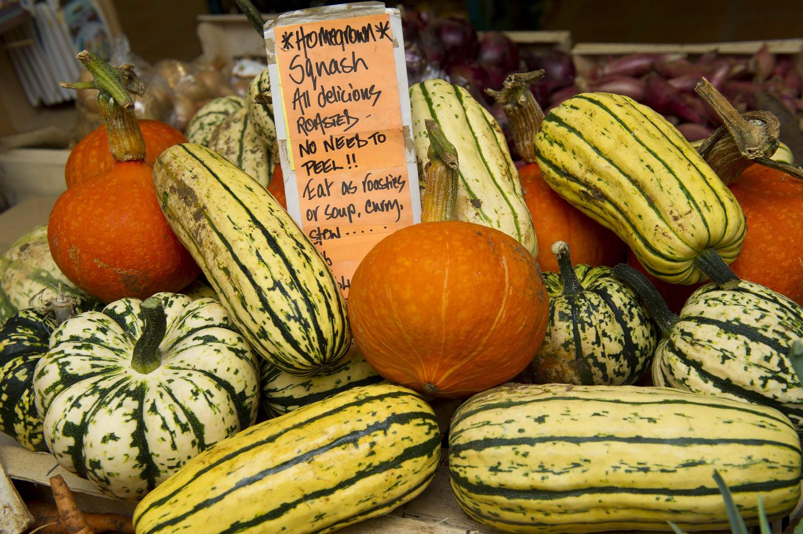 Abbey Wood Farm accommodation - Beautiful camping and glamping site featured in HolidayFox article