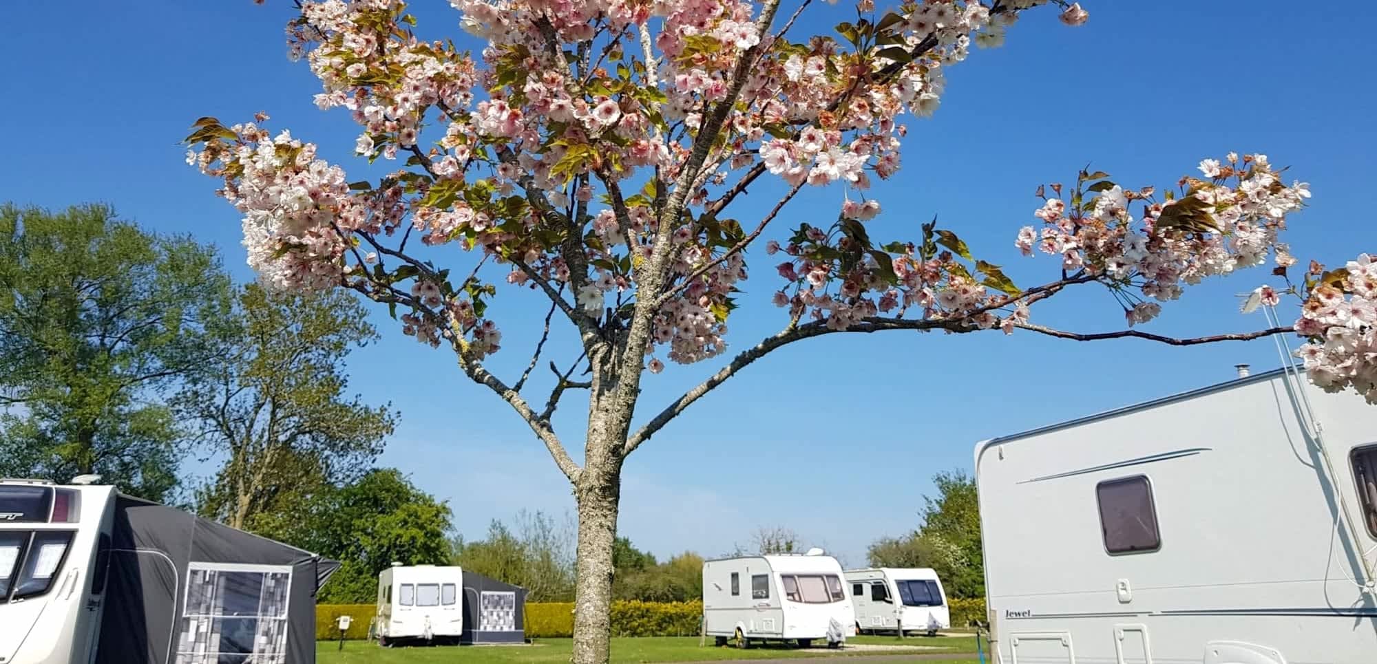 5. Cripps Farm Holidays, Somerset accommodation - Beautiful camping and glamping site featured in HolidayFox article