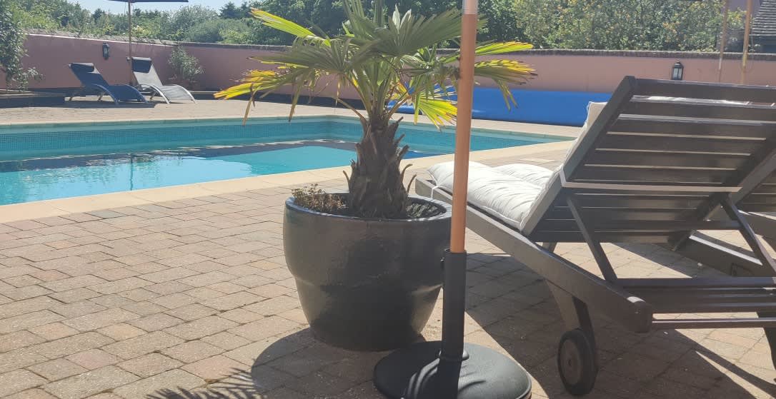 Apple Mount Retreat accommodation - Beautiful camping and glamping site featured in HolidayFox article