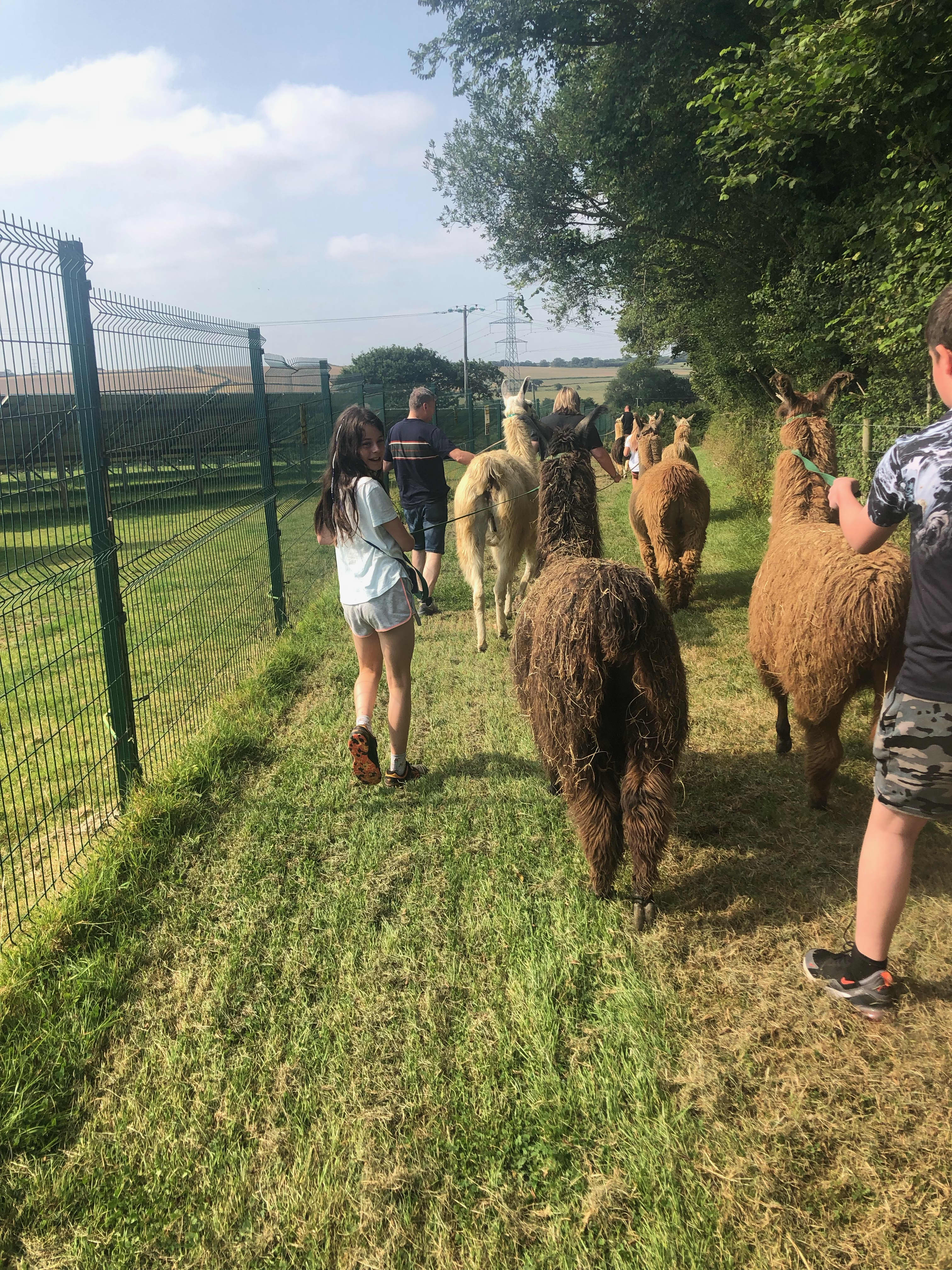 The Walk accommodation - Beautiful camping and glamping site featured in HolidayFox article