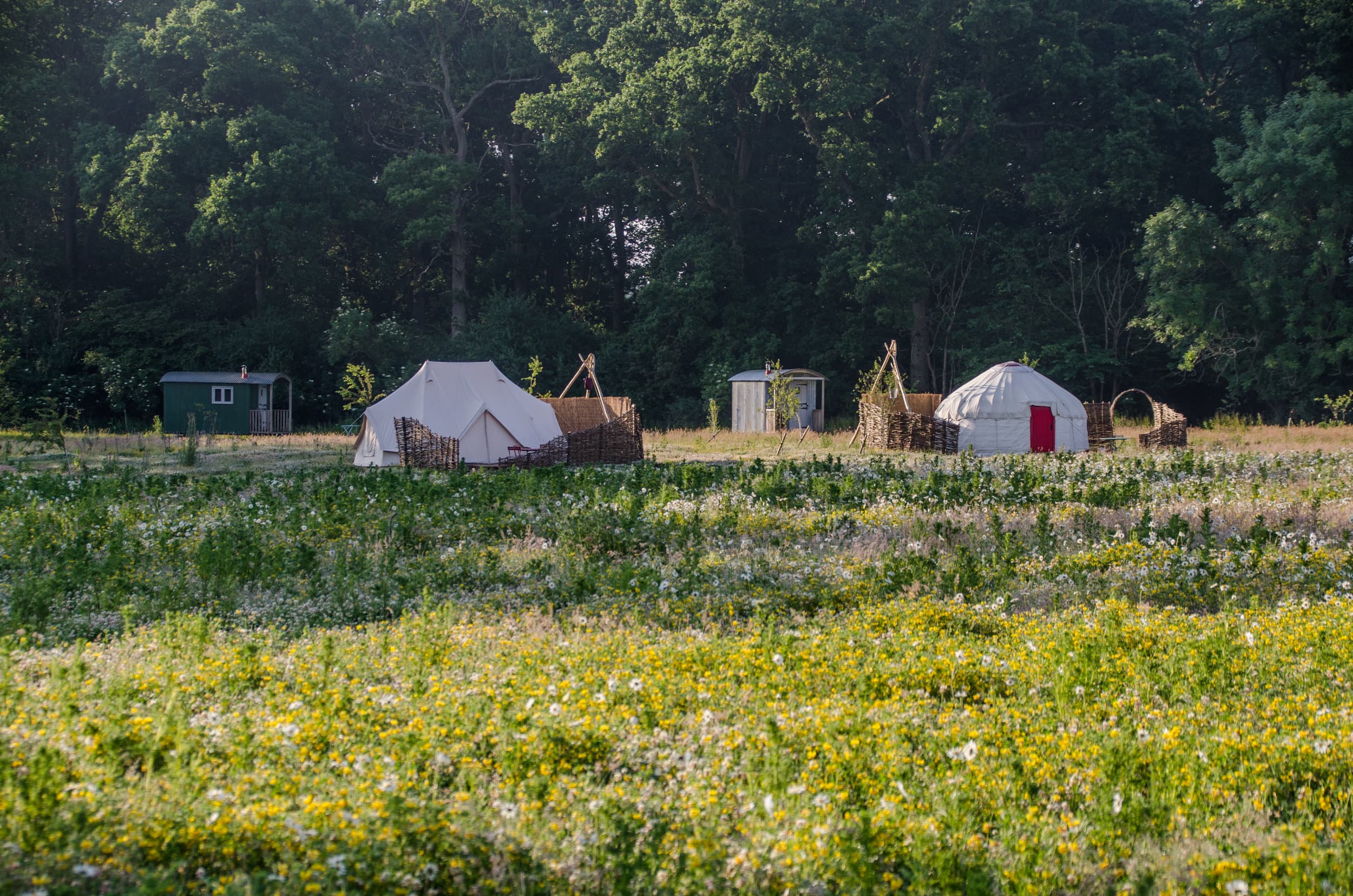 Knepp Safaris accommodation - Beautiful camping and glamping site featured in HolidayFox article
