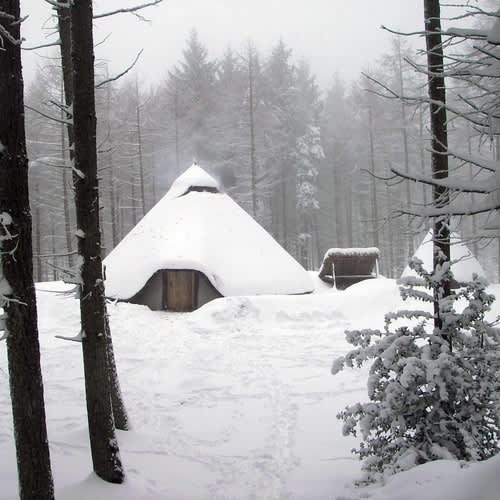 Marthrown of Mabie, Dumfries accommodation - Beautiful camping and glamping site featured in HolidayFox article