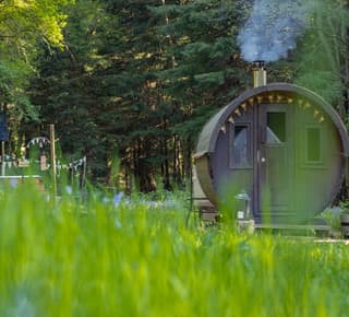 The Enchanted Glade, West Sussex accommodation - Beautiful camping and glamping site featured in HolidayFox article